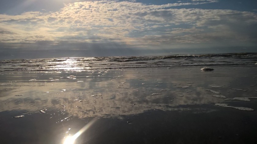  I took this picture the next morning... 